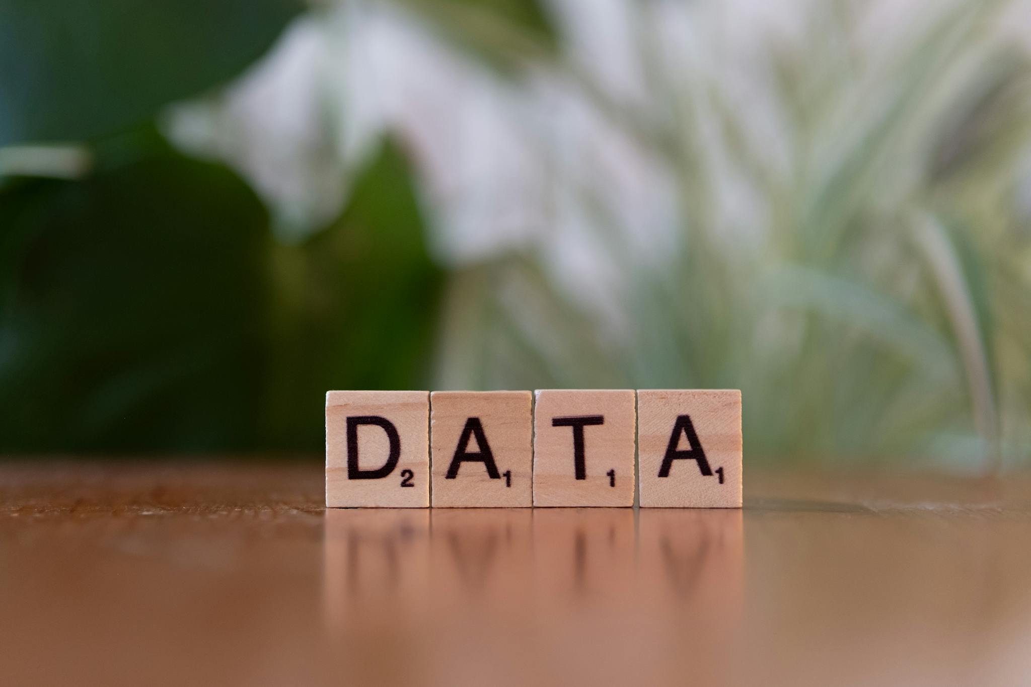 Scrabble tiles spelling 'DATA' on a wooden table with a blurred plant background.